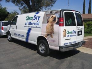 ChemDry van with dog graphic and contact info.