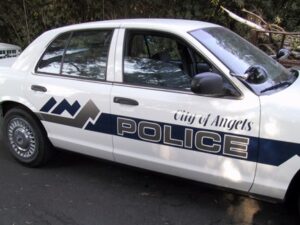 Police car labeled 'City of Angels'