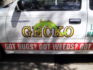 Vehicle with Gecko Pest Control advertisement.